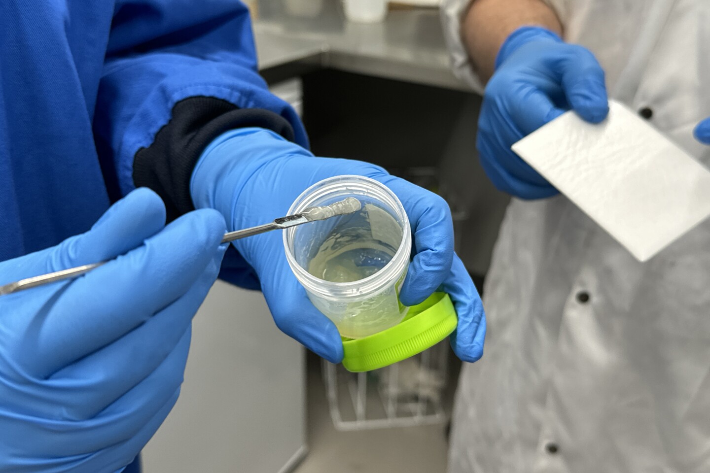 Black phosphorus nanoflakes can be integrated into gel to make a wound dressing