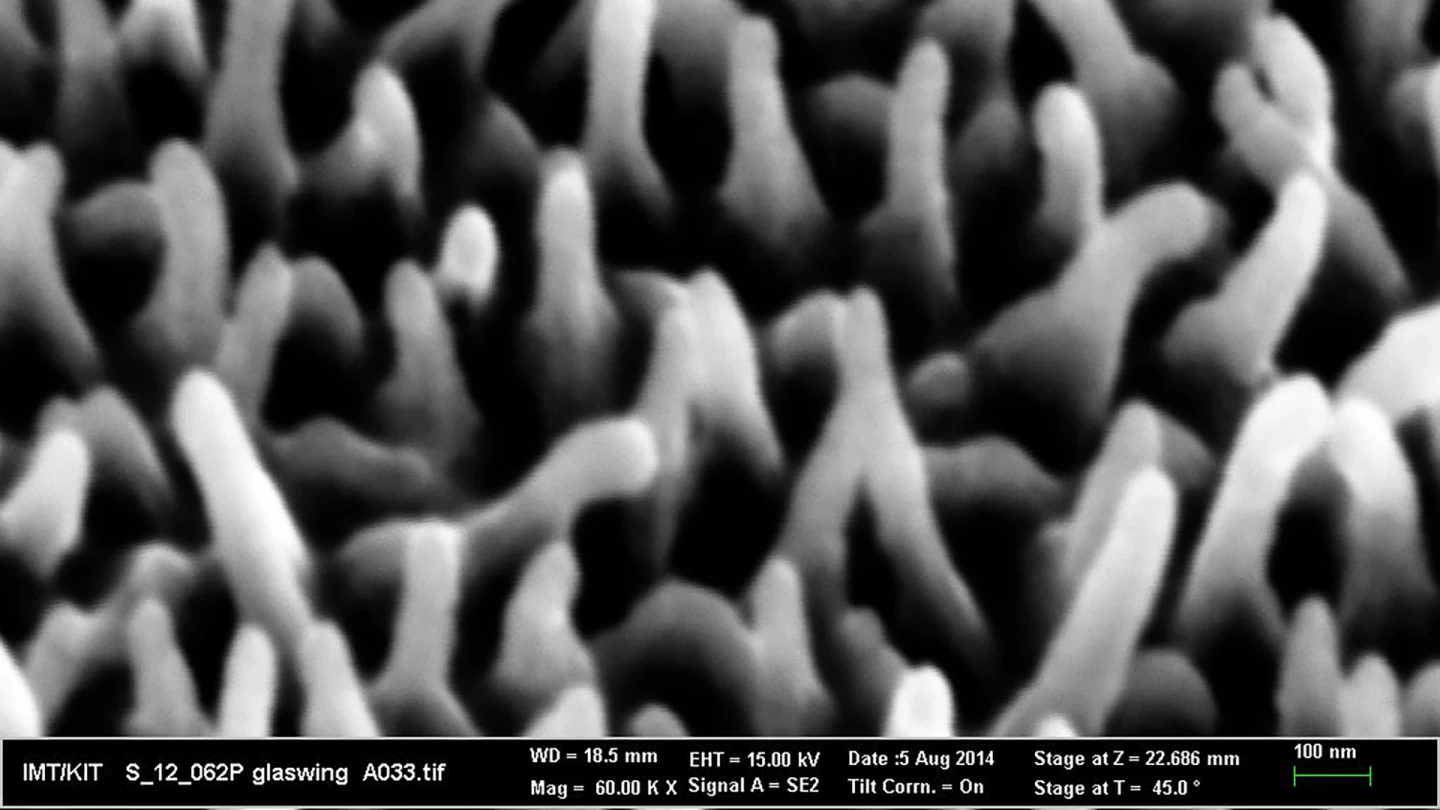 The study identified the irregular height and distribution of the nanostructures on the surface of the glasswing butterfly's wing as the cause of its low-reflective nature (Image: KIT/Radwanul Hasan Siddique)