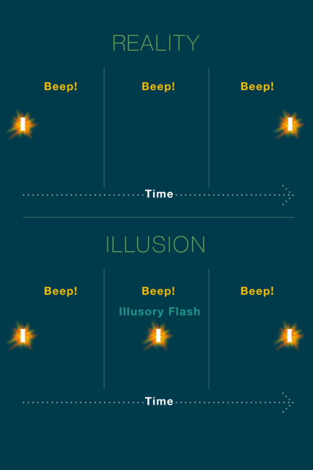 The fact that the illusory flash is perceived in between the left and right flashes is the key evidence that the brain is using postdictive processing