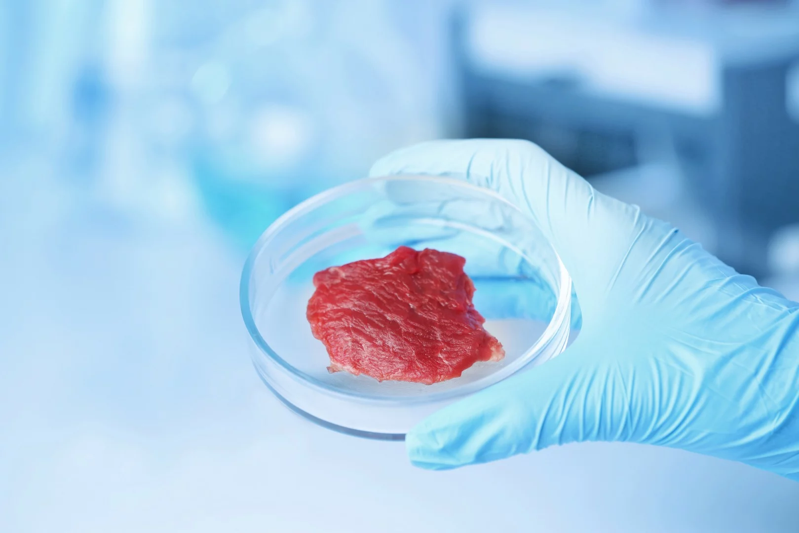 Can lab-grown meat still be called meat?