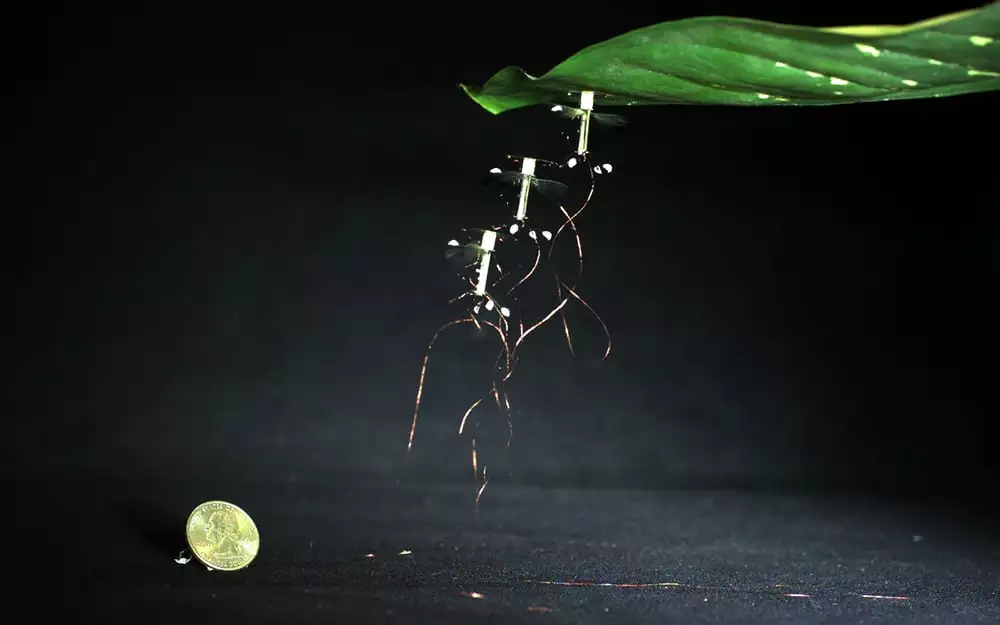 The RoboBee can stick to almost any surface during flight to save energy