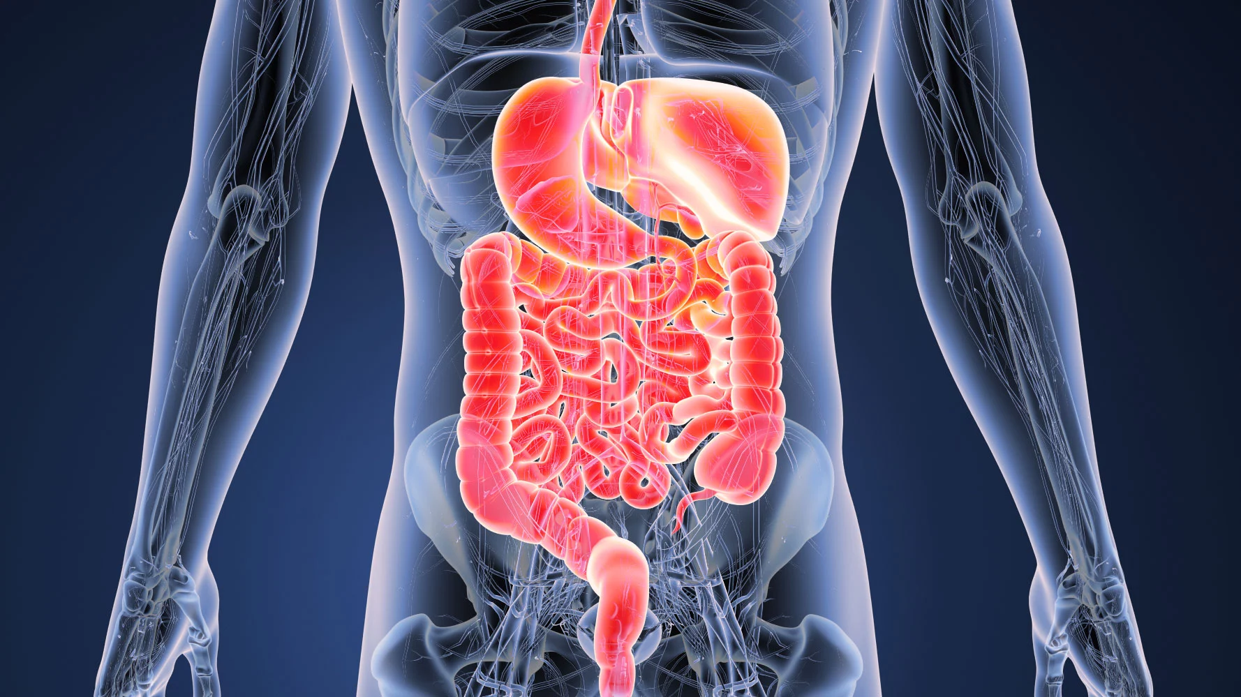 A new, non-invasive test for bowel diseases looks for signs of "leaky gut" in blood and stool samples