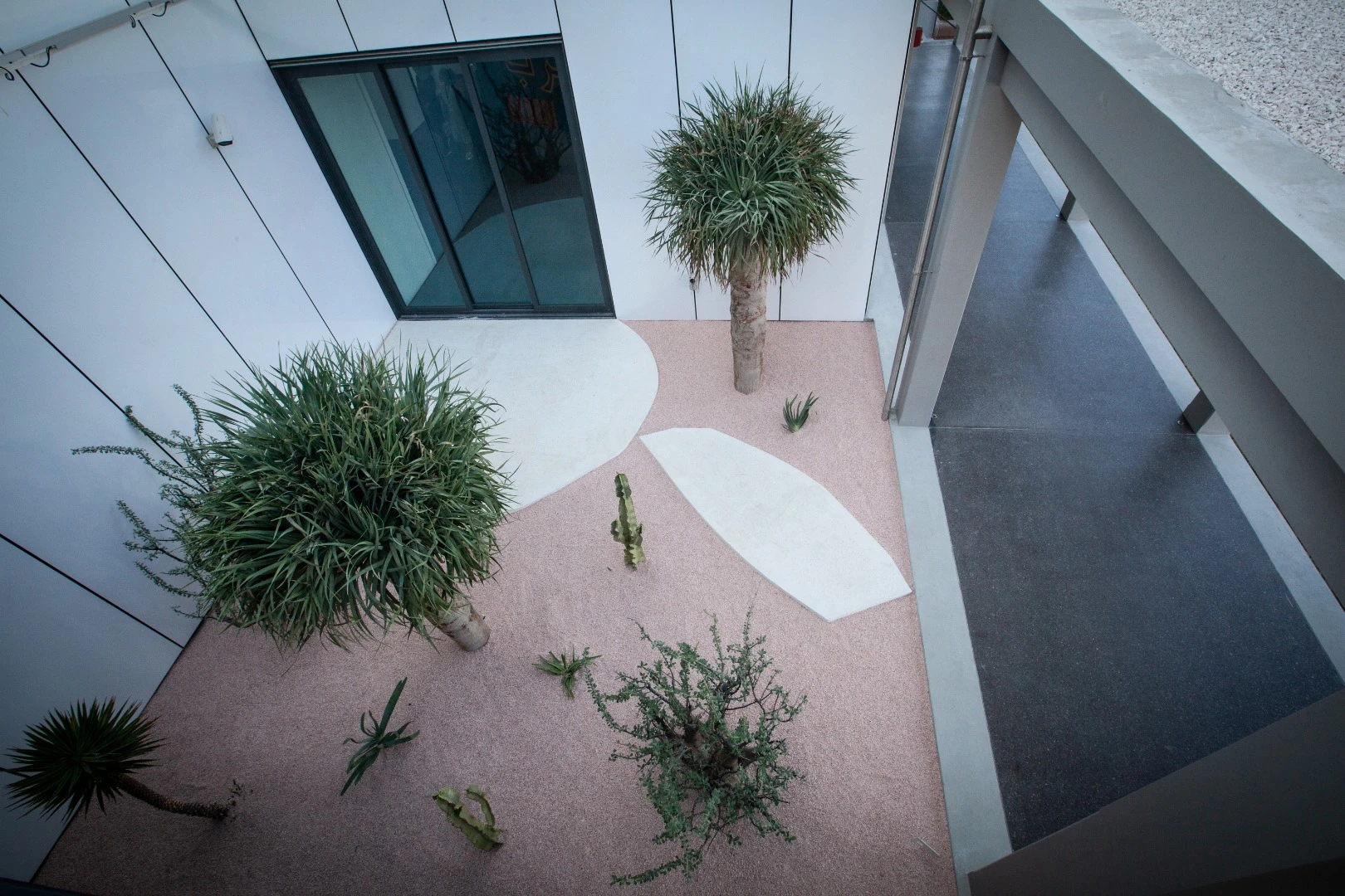 Desert courtyard at Jameel Arts Center