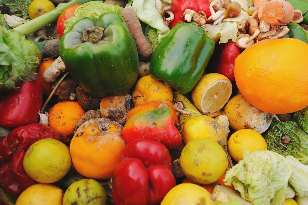 Waste like this should meet all of a UK grocery store's electrical needs (Photo: Shutterstock)