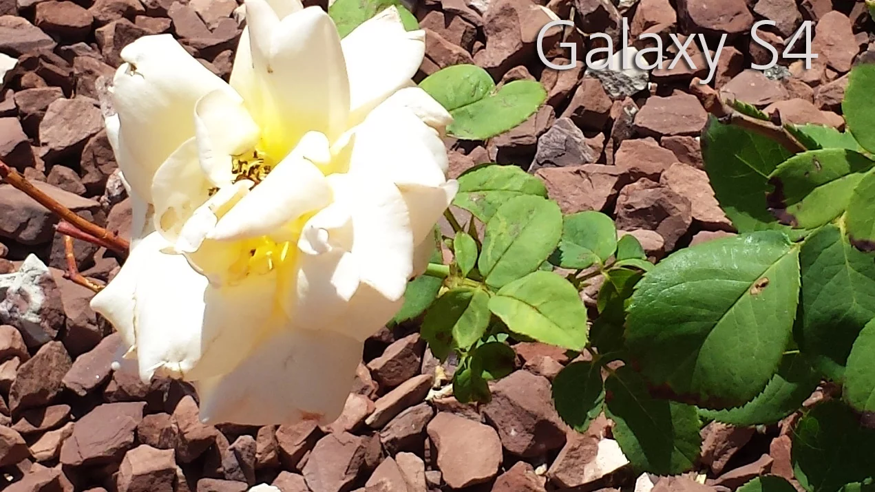 Galaxy S4: outdoor crop