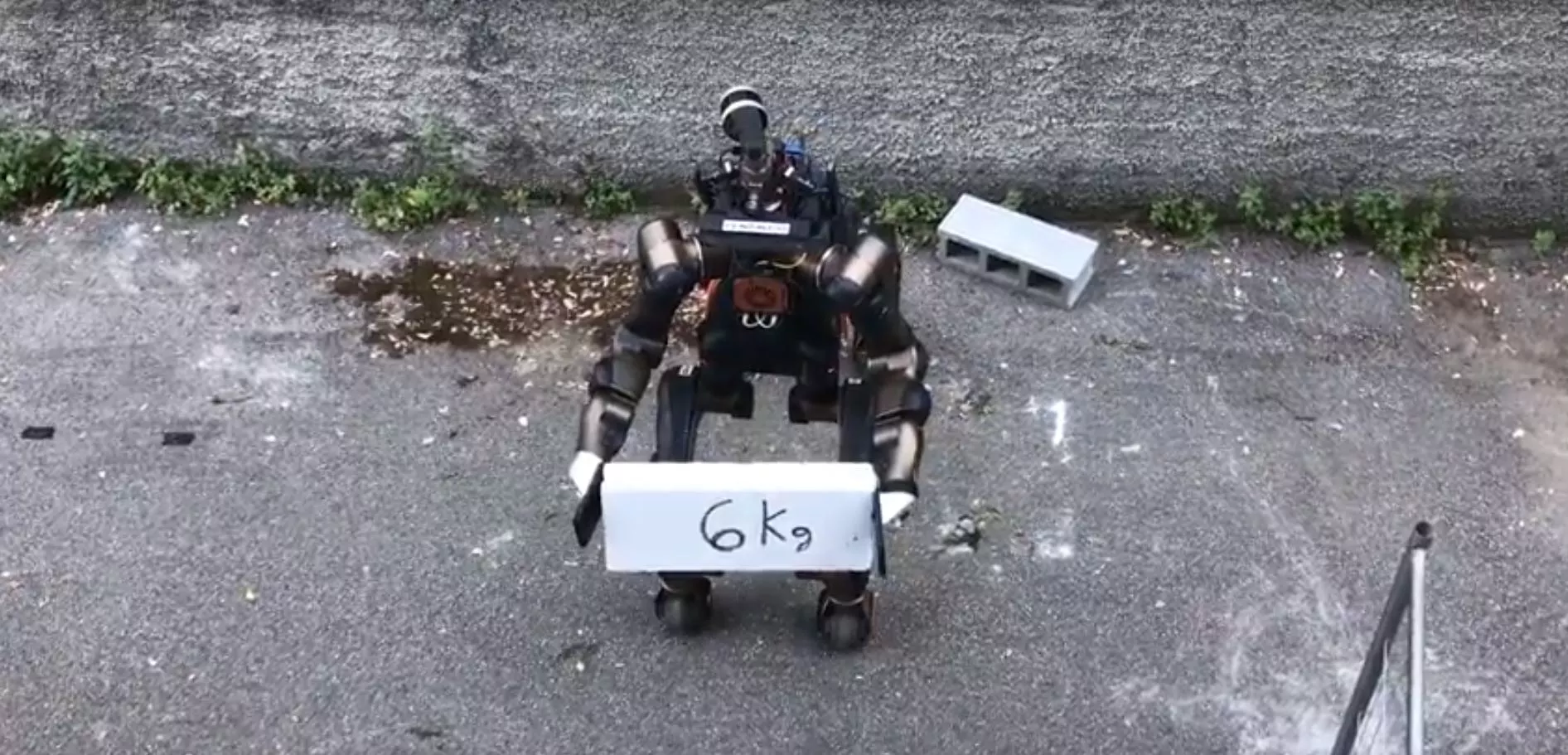 Centauro lifting a 6-kg weight