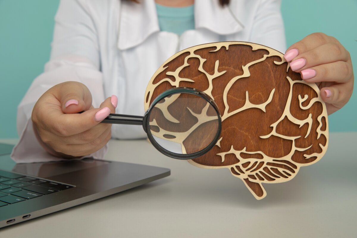 New evidence shows menopause rewires the brain
