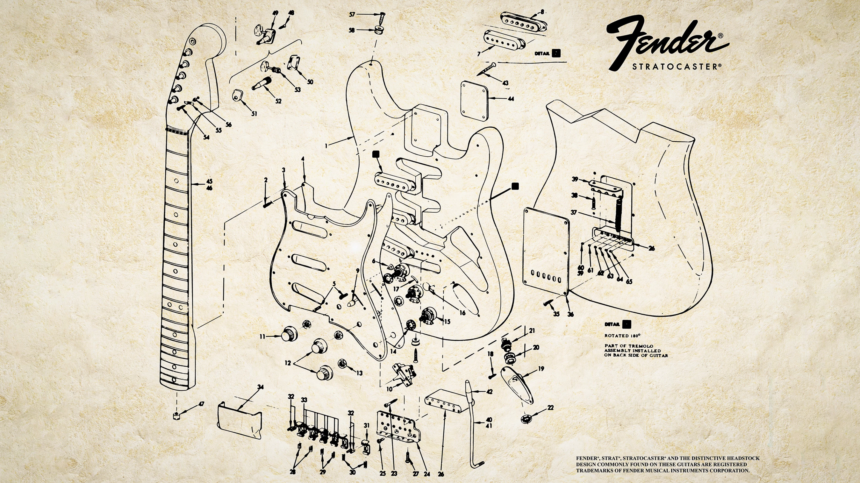 Anatomy of a Stratocaster