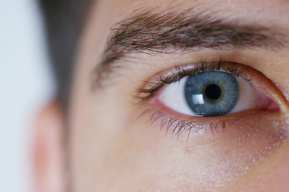 Using a light-sensing protein found in glowing algae, scientists have shown how vision can be partially restored in a patient suffering from common vision loss