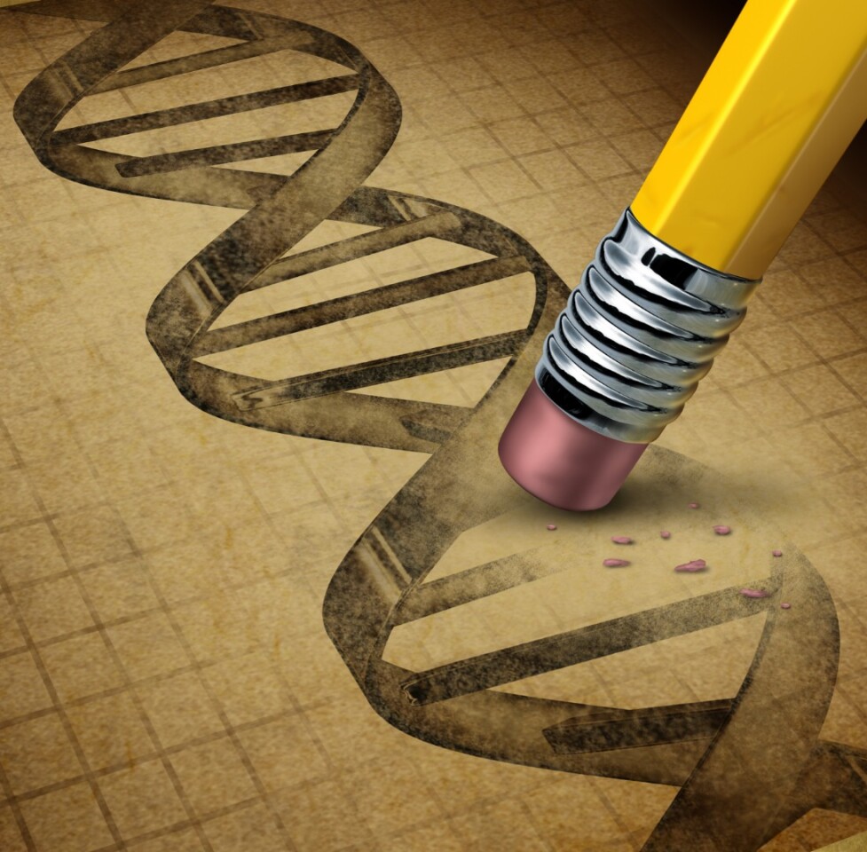 After decades of research, the birth of the first gene-edited human babies is a massive milestone – but the achievement may be premature, from a technological and ethical standpoint