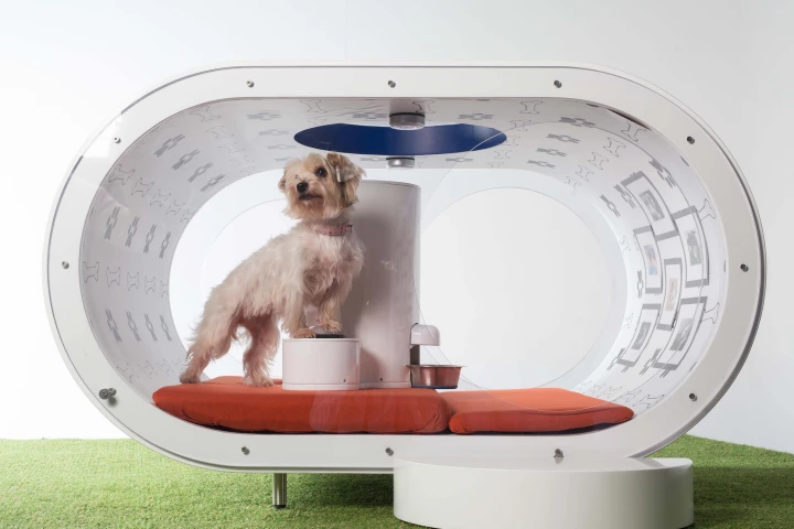 Samsung's Dream Doghouse, with occupant