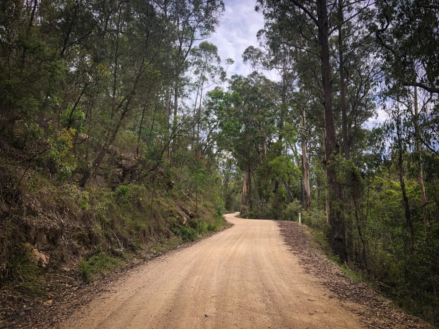 Wangarabell Road, gloriously deserted gravel