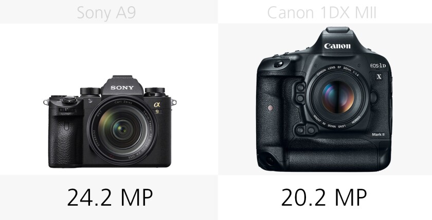 Comparing the megapixel count of the Sony A9 and Canon 1DX Mark II