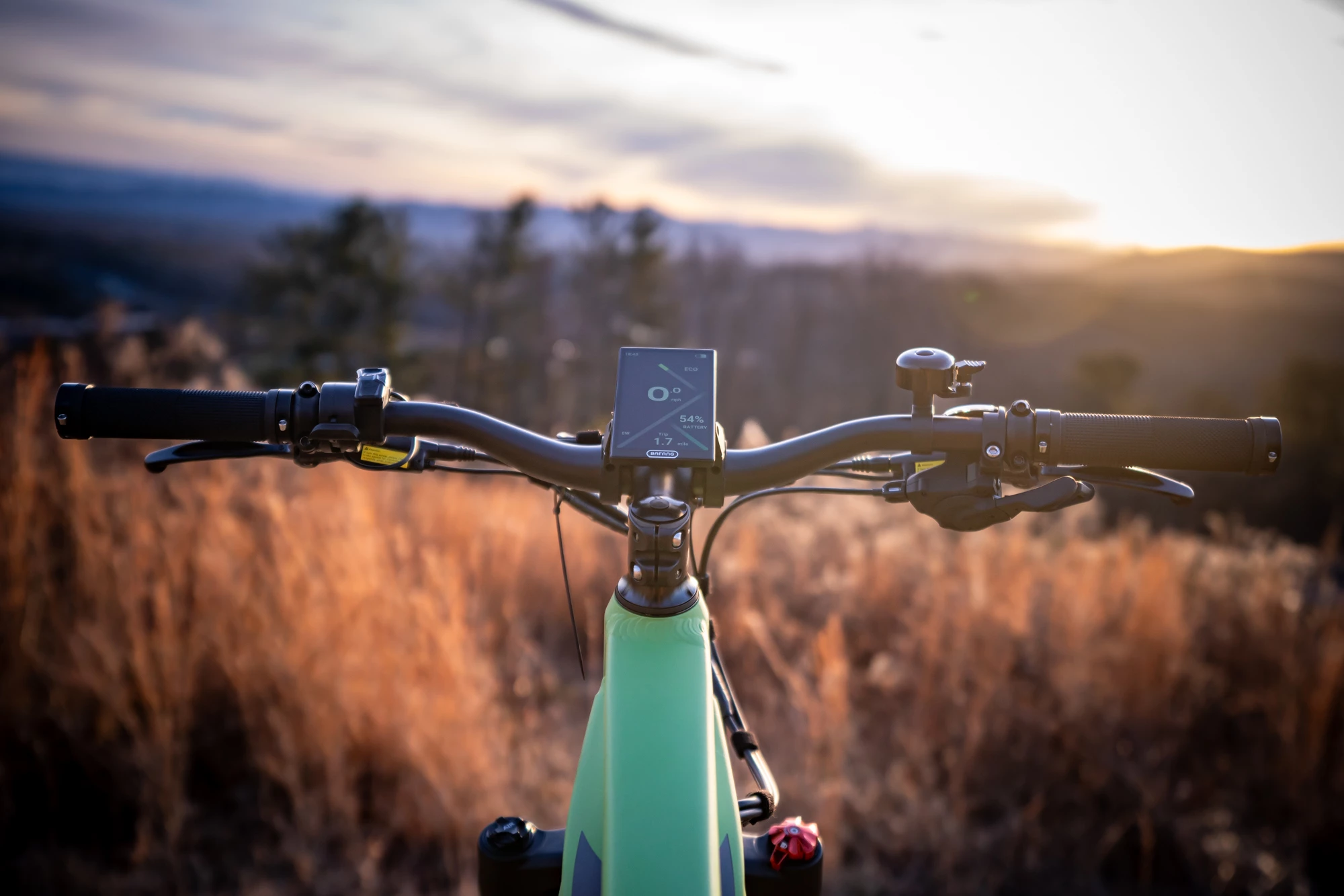 A generous Bafang display can be paired with a smartphone running a companion app for more control and tweaking