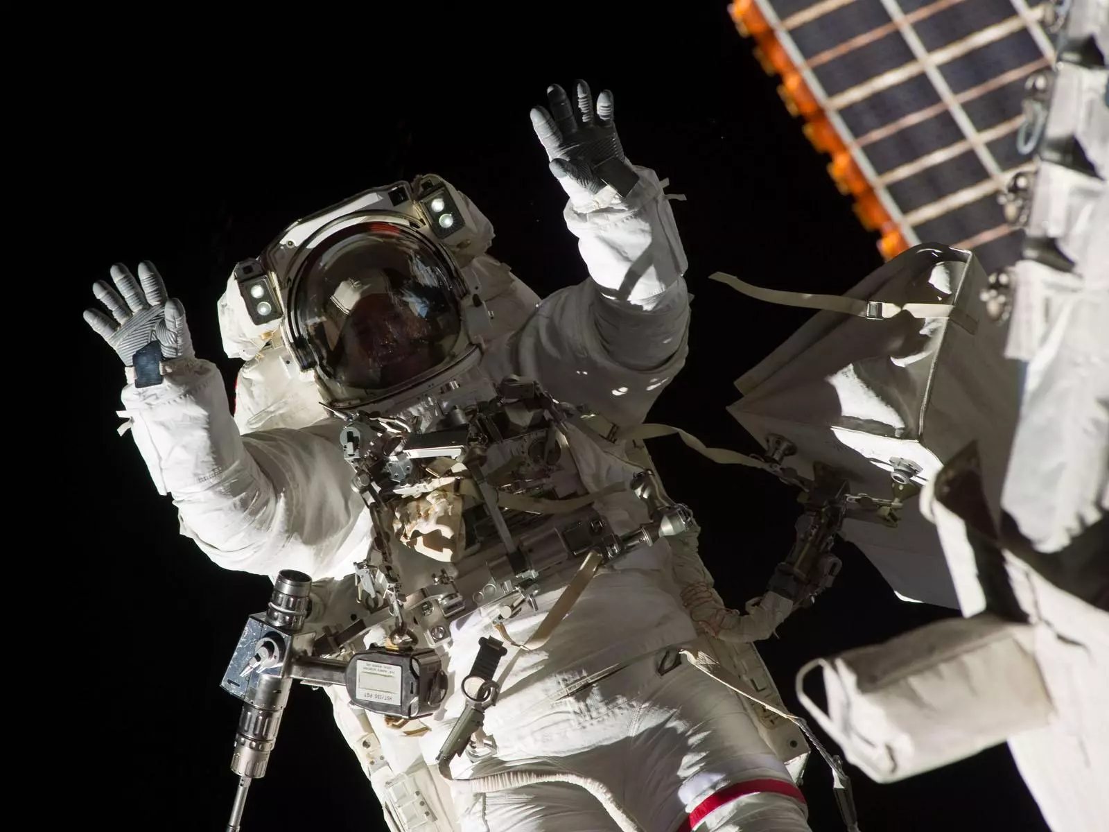 (Image: NASA)