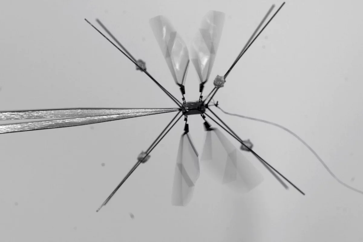 The Bee+ in flight-test mode, showing all four wings operating