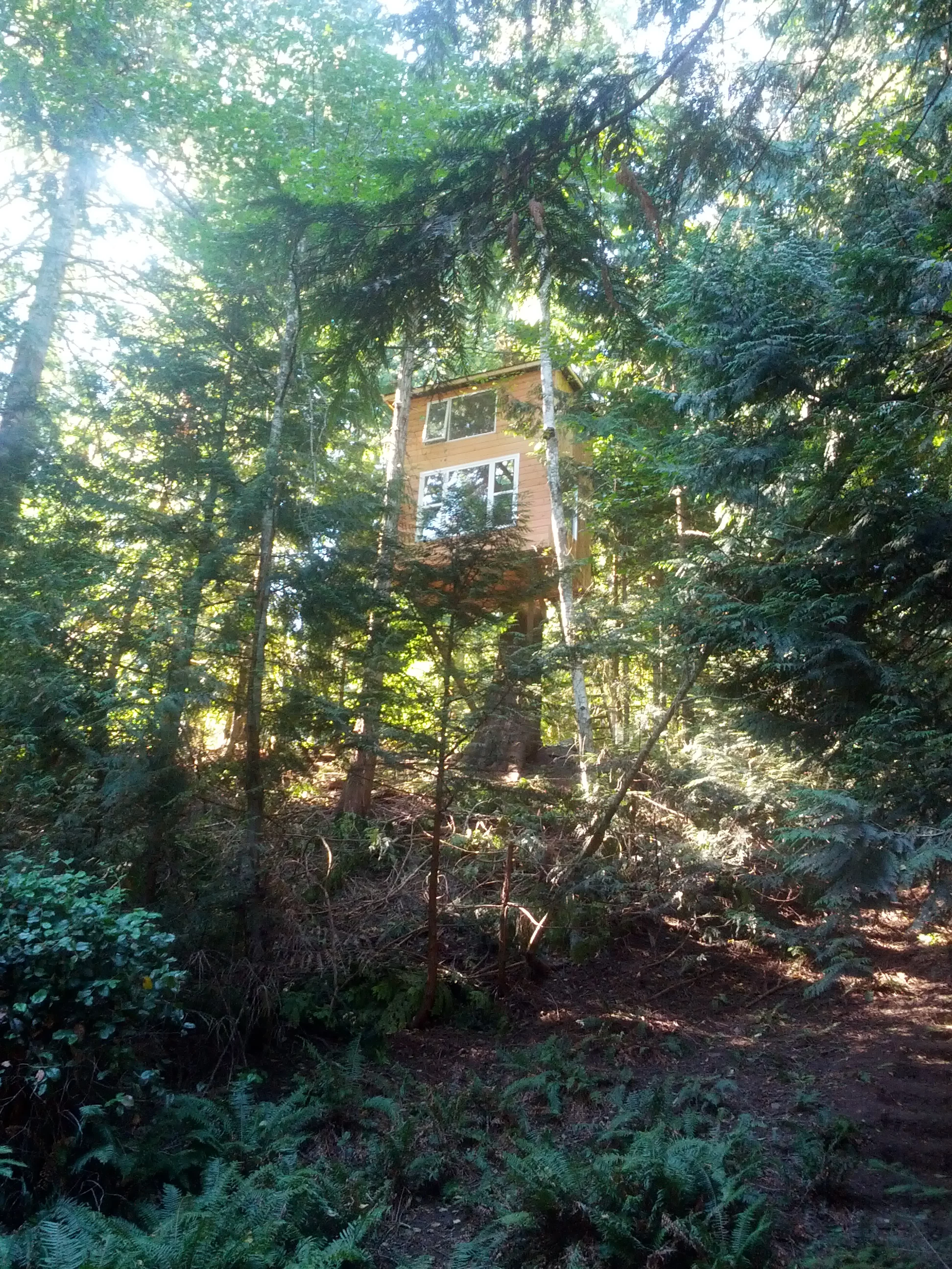The treehouse is located in a 0.2 hectare (0.5 acre) plot of rural land on Pender Island, British Columbia (Photo: Geoff de Ruiter)