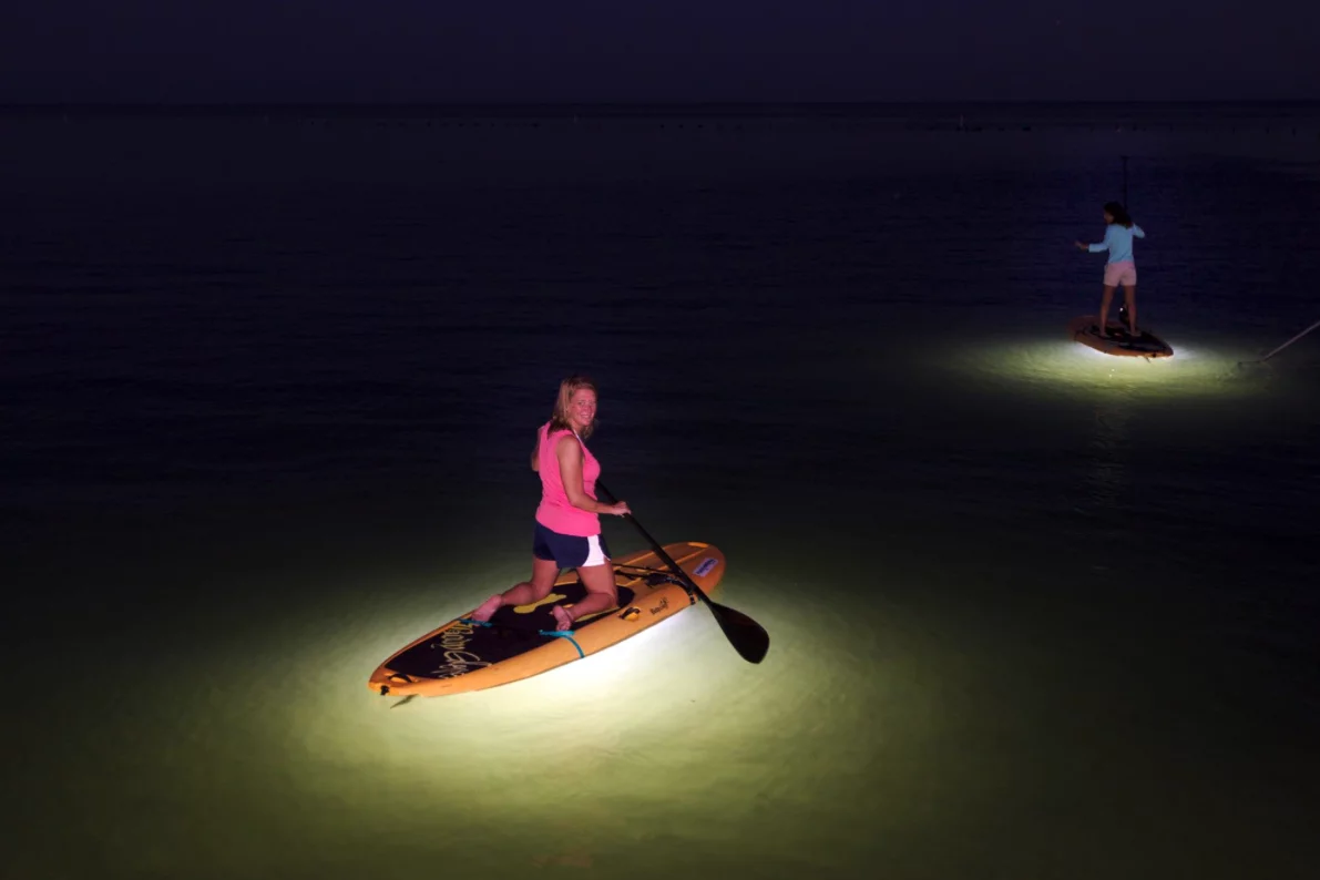 The Nocqua 2000 LED lighting system