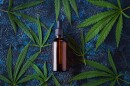 A clinical trial found
                              400-mg and 800-mg daily CBD doses could
                              reduce cannabis consumption in subjects
                              with addiction problems