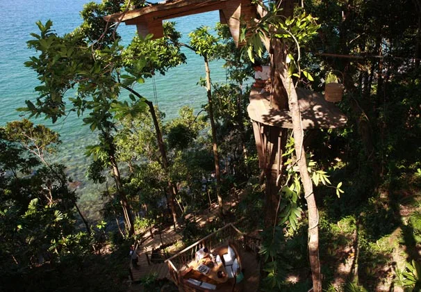 Situated 16 feet (5 meters) off the ground, the dining pod is surrounded by lush tree tops