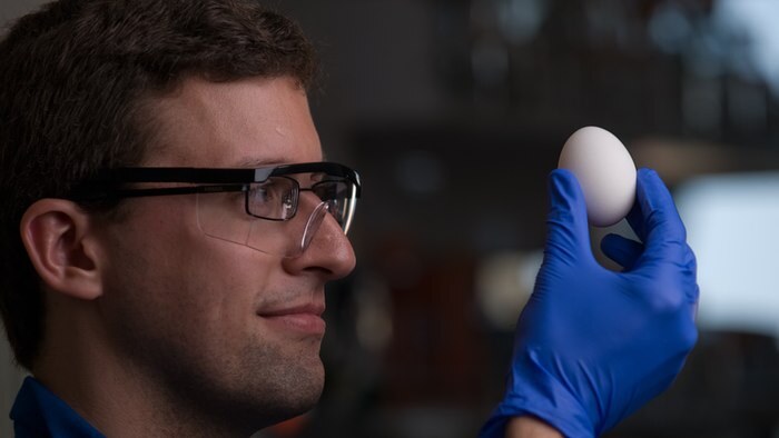 Back in January UC Irvine scientists found a way to unboil an egg