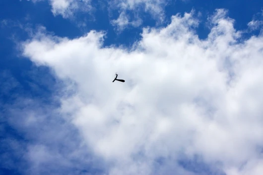 Look, up in the sky ... the Maple seed device in flight