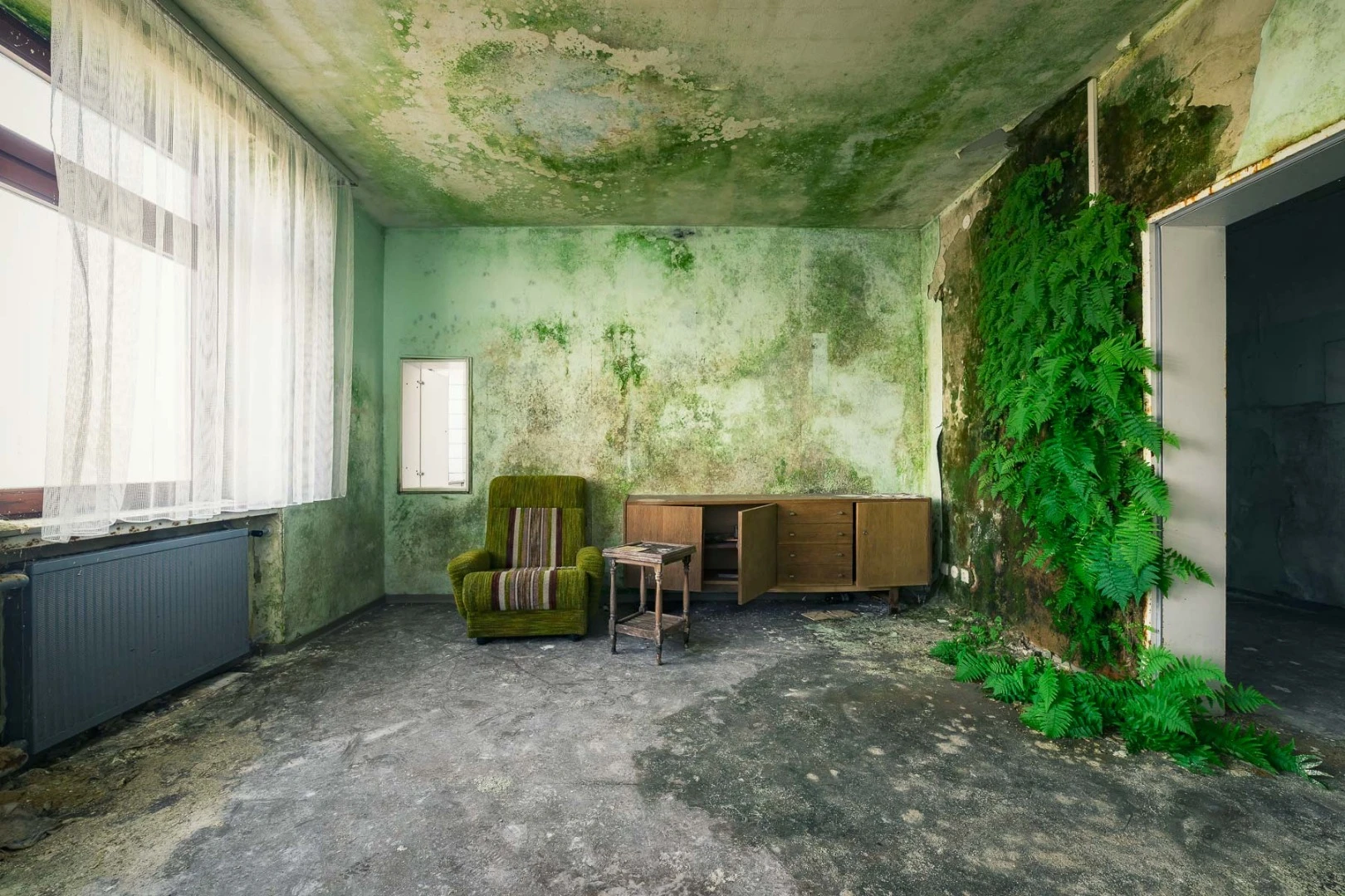 View into the lounge of an abandoned nursing home. This home has long been closed, but some furniture has been left behind. The fern as a houseplant gives life to the room