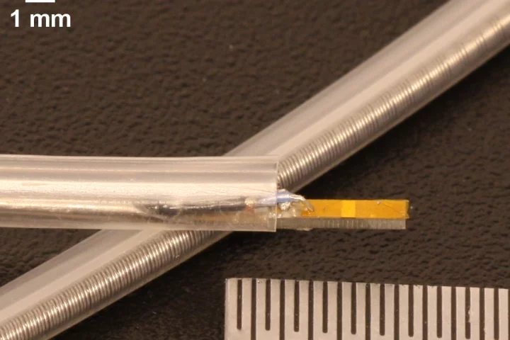 Researchers from North Carolina State University have developed a dual-frequency ultrasound device that could help with the detection of dangerous arterial plaque