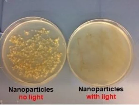 Two Petri Dishes of bacteria demonstrate before and after light is applied to the nanoparticles