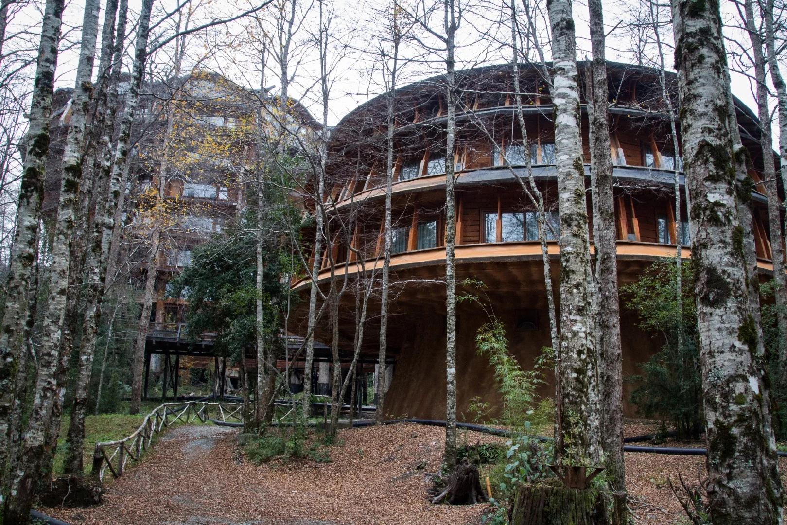 Hotel Reino Funghi, which translates to Mushroom Kingdom, is named so for its similarities to a mushroom