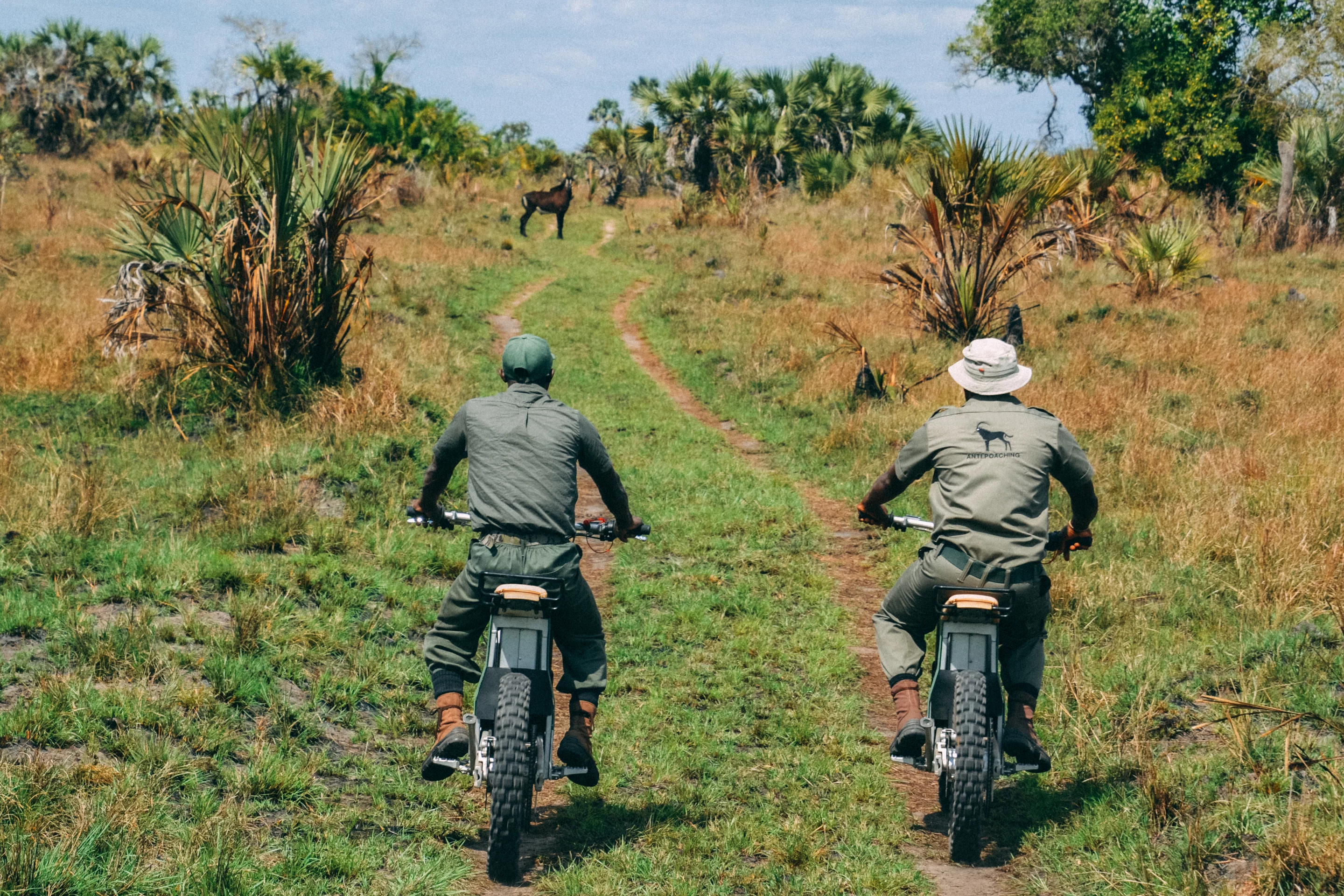 Where gas-powered bikes can be heard from far away, the Kalk AP e-motos allow rangers to go stealth