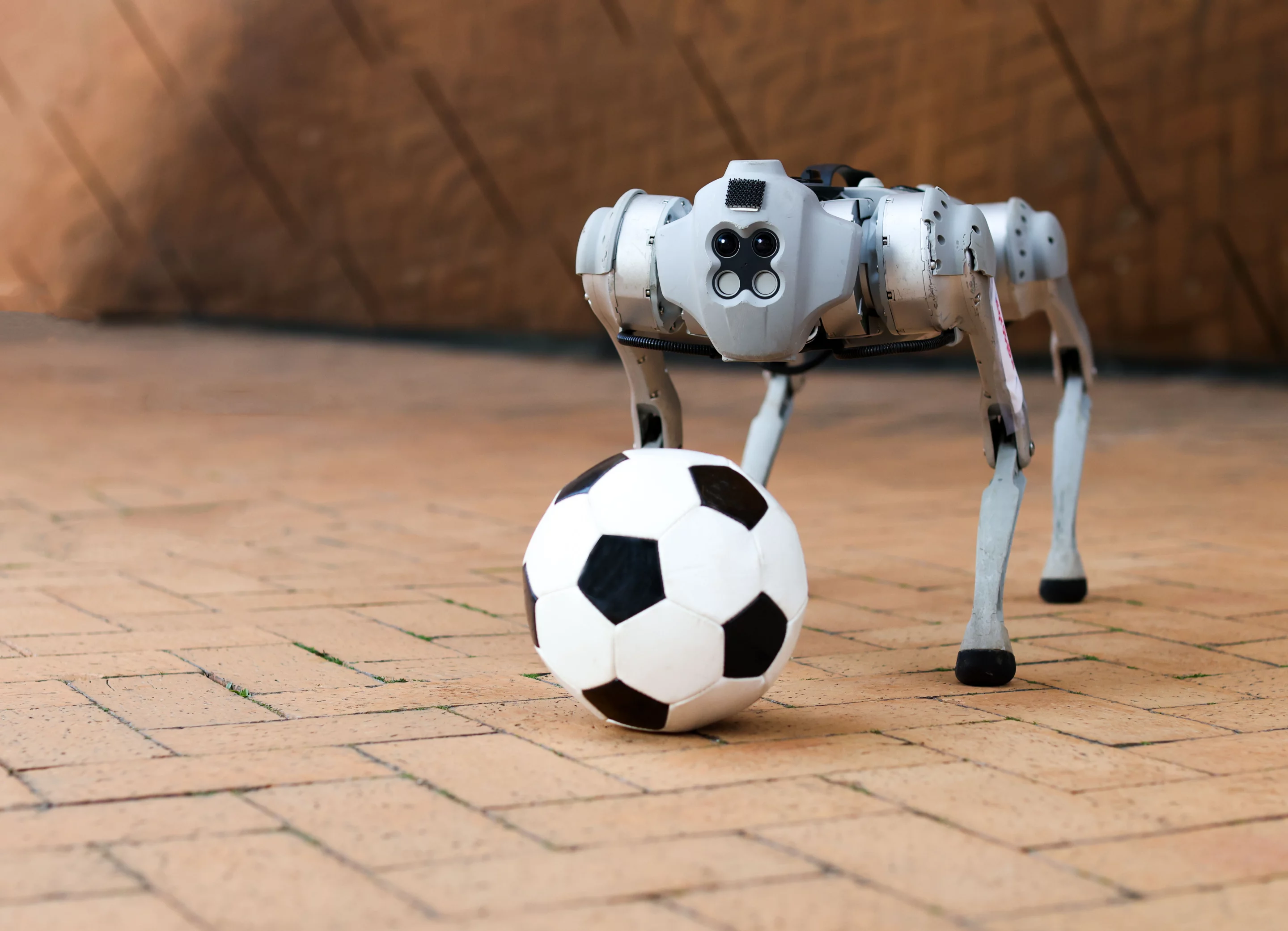 DribbleBot is designed to dribble a ball in realistic conditions