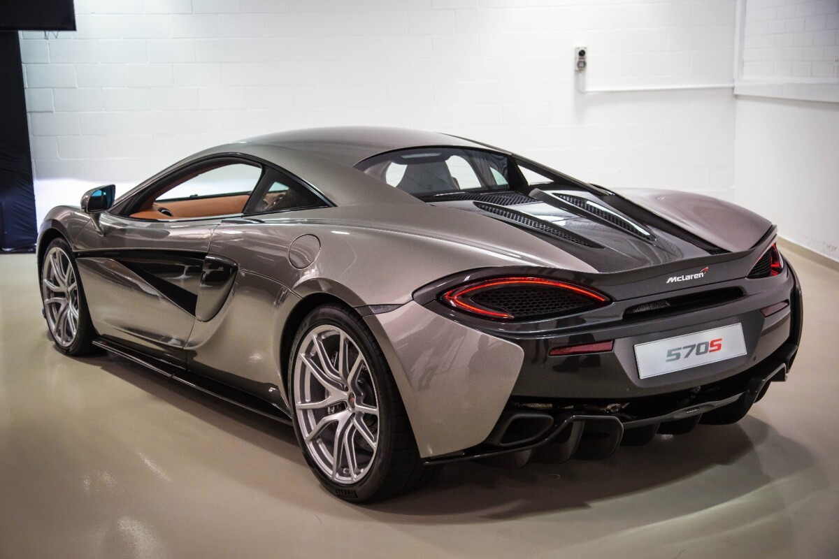 The detail that runs along the side of the car is called the "tendon"