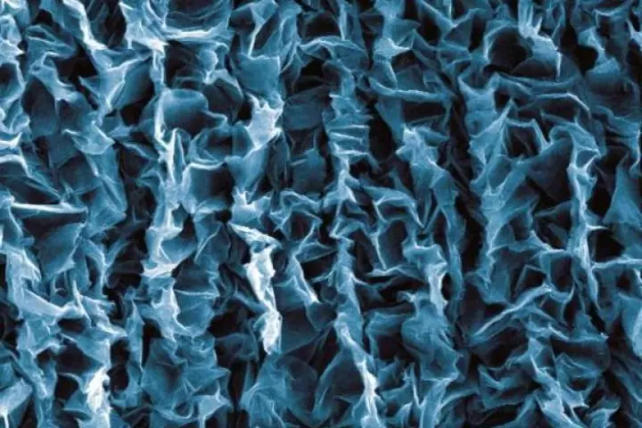 Crumpled graphene layered on a flexible polymer (Photo: Duke University)