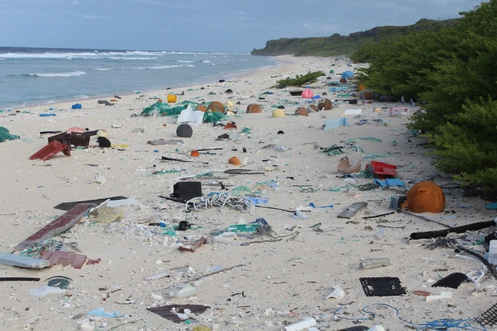 The team calculated a plastic trash concentration of 671 pieces per square meter (10 sq ft)