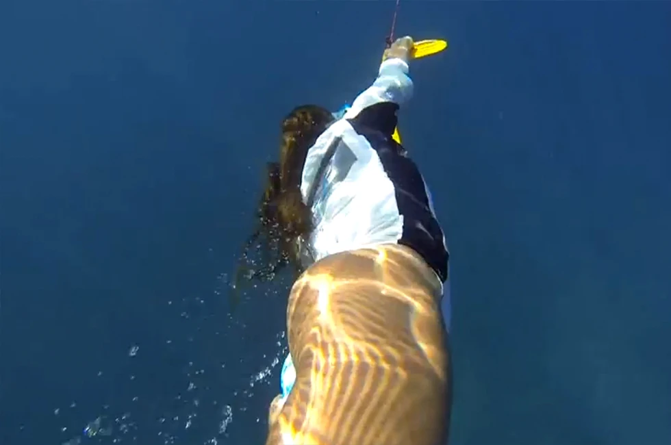 The Nautboard in action