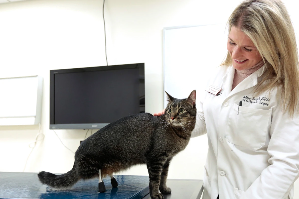 Vincent with Dr. Mary Sarah Bergh, who surgically implanted the titanium-alloy prostheses