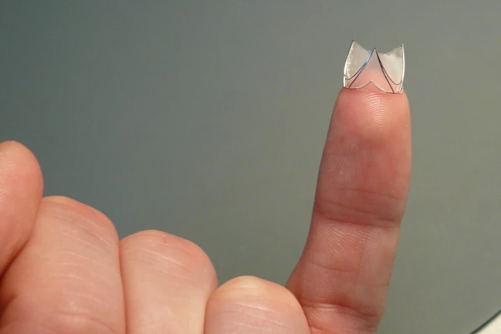 One of Fraunhofer's artificial venous valves