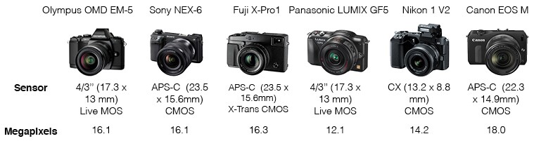 Mirrorless camera comparison - Sensor
