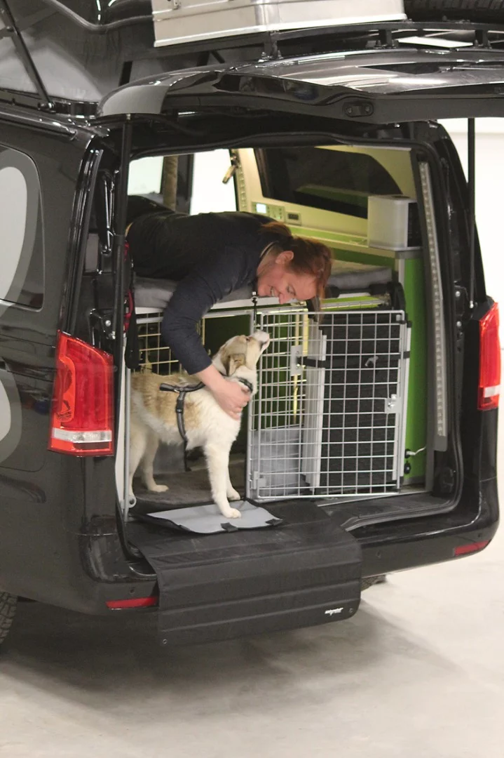 Some quality bonding time in the Dogscamper