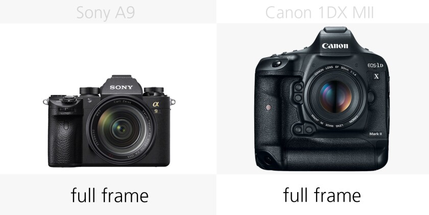 Comparing the sensor size of the Sony A9 and Canon 1DX Mark II