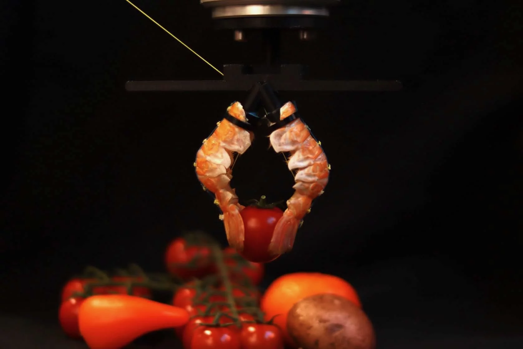 The hand can lift objects weighing up to 500 g (1.1 lb)