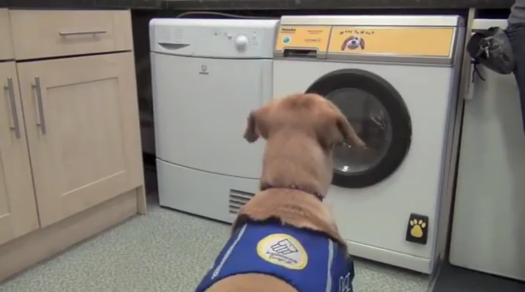 The Woof to Wash washing machine allows service dogs to turn it on with their bark