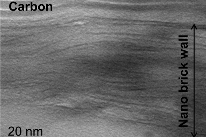 A new coating that reportedly allows foods to last longer has a structure similar to a brick wall(Image: Texas A&M University)