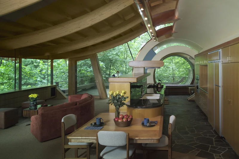 Roy Wilkinson must have the coolest house on the block.