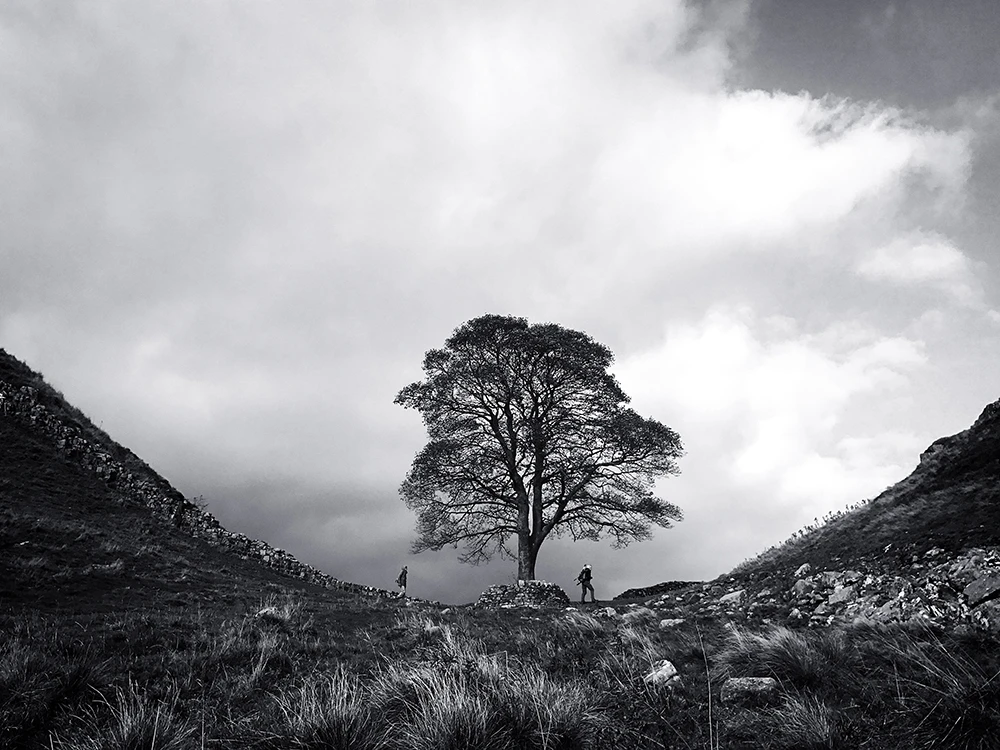 Second place in the landscape category of the 2018 iPhone Photography Awards