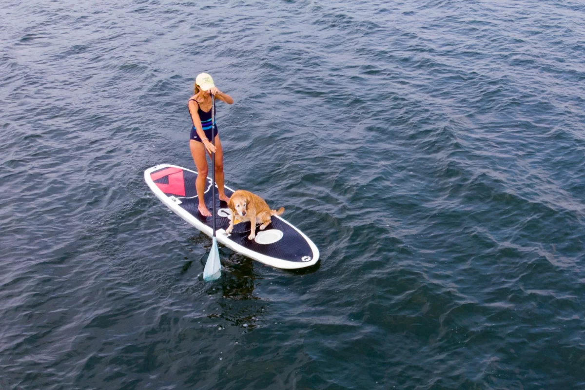 Its makers claim that the Easy Eddy can be assembled in under a minute