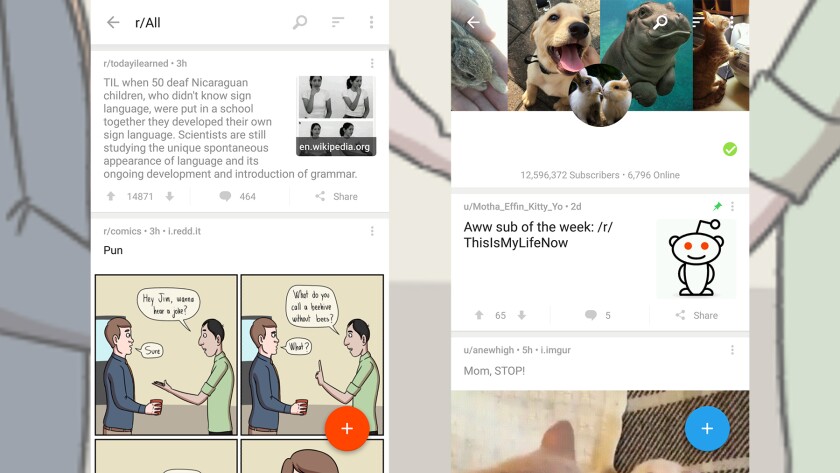 Reddit