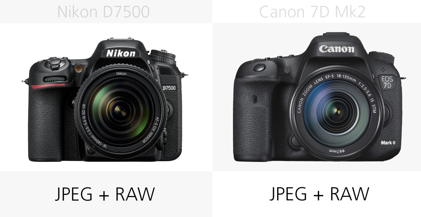 The photo file types of the Nikon D7500 and Canon 7D Mark II compared