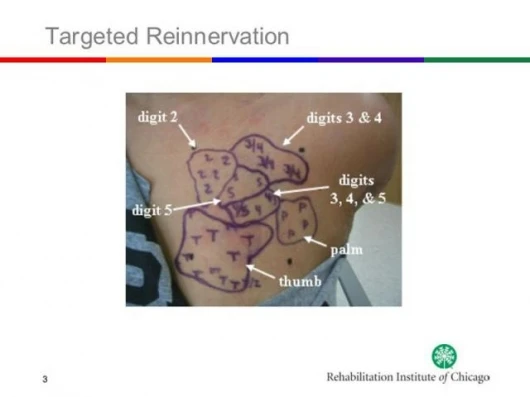 Slide 3